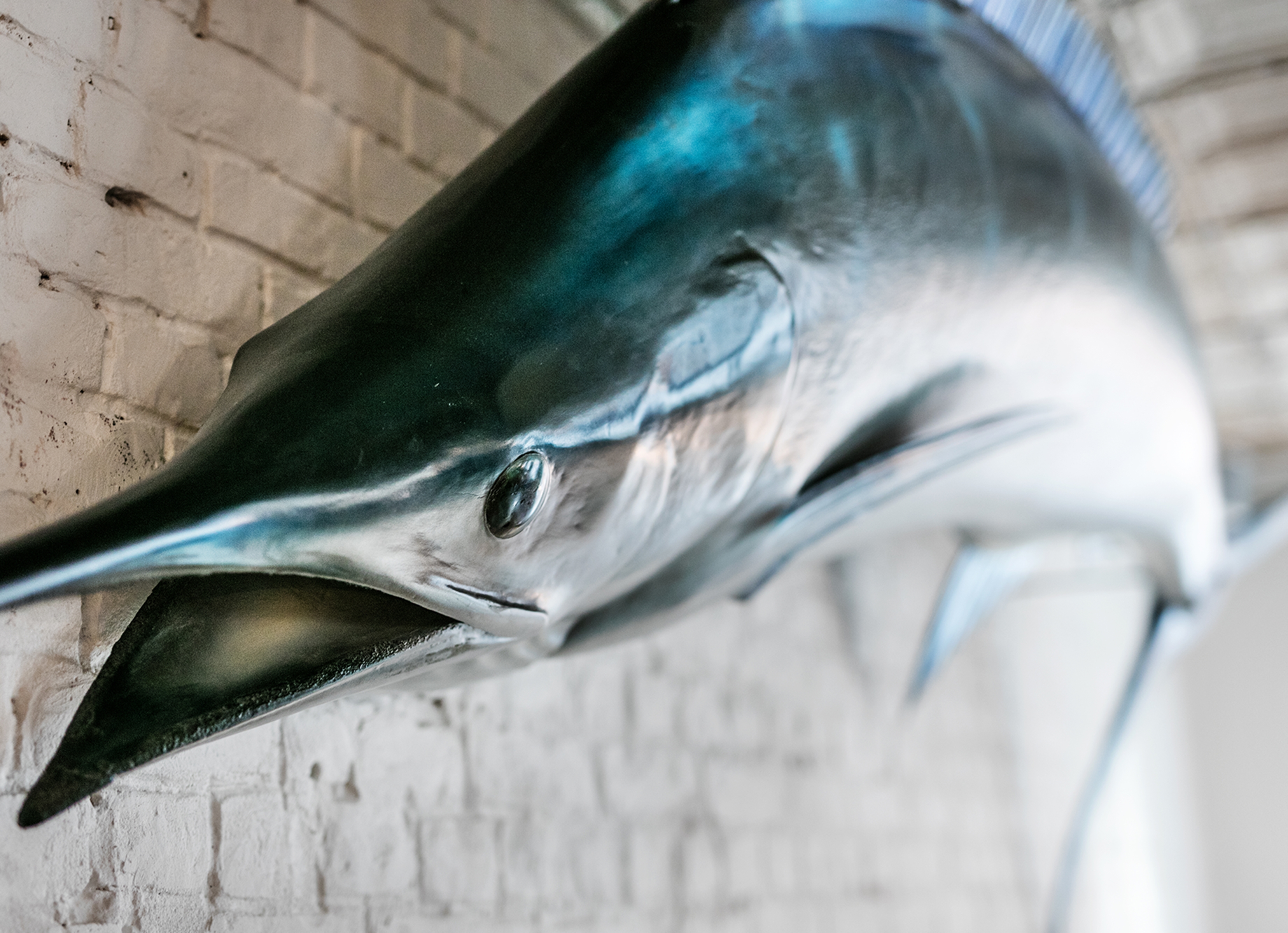 Oysters & Grill Restaurant Nørrebro Fisk og skaldyr Cofoco